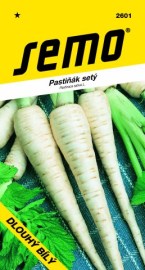 Pastinák Dlouhý bílý